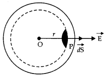 Class 12 Physics Important Questions Chapter 1 Electric Charges and Fields 44