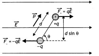 Class 12 Physics Important Questions Chapter 1 Electric Charges and Fields 59