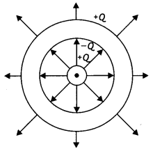 Class 12 Physics Important Questions Chapter 1 Electric Charges and Fields 75