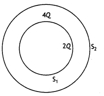 Class 12 Physics Important Questions Chapter 1 Electric Charges and Fields 76