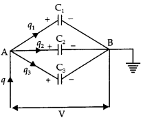 Class 12 Physics Important Questions Chapter 2 Electrostatic Potential and Capacitance 12