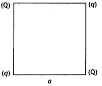 Class 12 Physics Important Questions Chapter 2 Electrostatic Potential and Capacitance 21