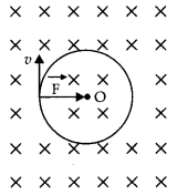 Class 12 Physics Important Questions Chapter 4 Moving Charges and Magnetism 10