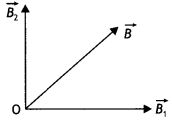 Class 12 Physics Important Questions Chapter 4 Moving Charges and Magnetism 31