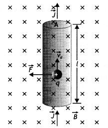 Class 12 Physics Important Questions Chapter 4 Moving Charges and Magnetism 47