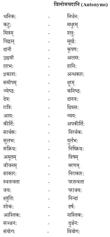 Abhyasvan Bhav Class 9 Solutions परिशिष्टम् - 2 I1