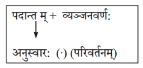 Solutions Class 10 अभ्यासवान् भव भाग 2 Chapter-6 (सन्धिः)