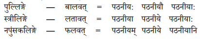 Solutions Class 10 अभ्यासवान् भव भाग 2 Chapter-8 (प्रत्यया:)