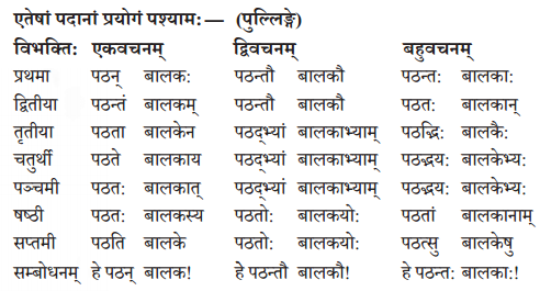 Abhyasvan Bhav Sanskrit Class 10 Solutions Chapter 8 प्रत्यया 2