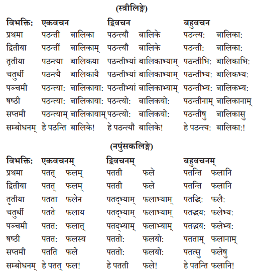 Abhyasvan Bhav Sanskrit Class 10 Solutions Chapter 8 प्रत्यया 3