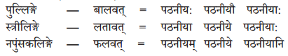 Abhyasvan Bhav Sanskrit Class 10 Solutions Chapter 8 प्रत्यया 6