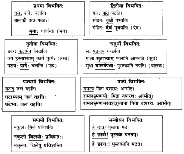 Abhyasvan Bhav Sanskrit Class 9 Solutions Chapter 10 शब्दरूपाणि 2