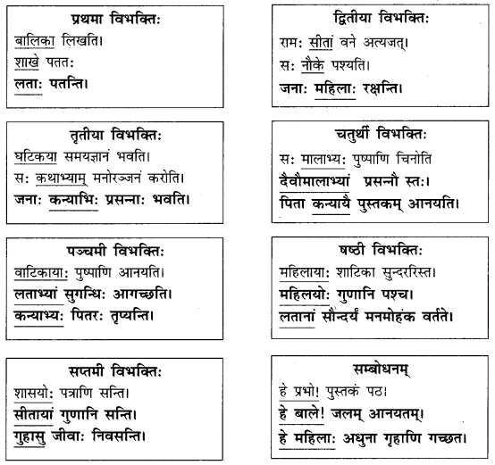 Abhyasvan Bhav Sanskrit Class 9 Solutions Chapter 10 शब्दरूपाणि 5