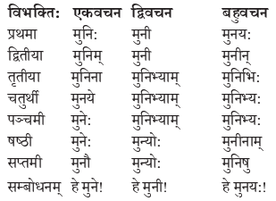 Abhyasvan Bhav Sanskrit Class 9 Solutions Chapter 10 शब्दरूपाणि 6