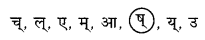 Abhyasvan Bhav Sanskrit Class 9 Solutions Chapter 12 वर्णविचारः 5