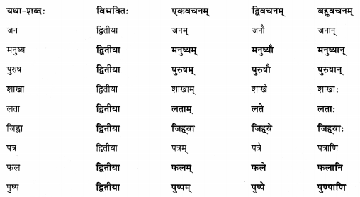 Abhyasvan Bhav Sanskrit Class 9 Solutions Chapter 6 कारकोपपदविभक्तिः 28