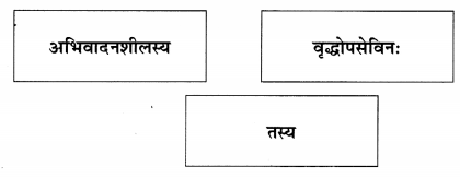 Abhyasvan Bhav Sanskrit Class 9 Solutions Chapter 6 कारकोपपदविभक्तिः 41