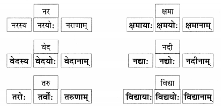 Abhyasvan Bhav Sanskrit Class 9 Solutions Chapter 6 कारकोपपदविभक्तिः 45