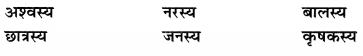 Abhyasvan Bhav Sanskrit Class 9 Solutions Chapter 6 कारकोपपदविभक्तिः 46