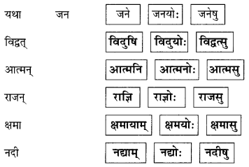 Abhyasvan Bhav Sanskrit Class 9 Solutions Chapter 6 कारकोपपदविभक्तिः 52