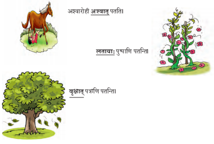 Abhyasvan Bhav Sanskrit Class 9 Solutions Chapter 6 कारकोपपदविभक्तिः 62