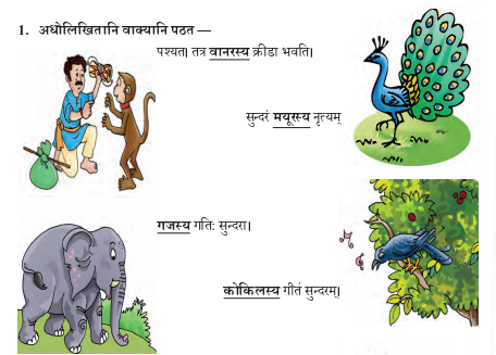 Abhyasvan Bhav Sanskrit Class 9 Solutions Chapter 6 कारकोपपदविभक्तिः 69