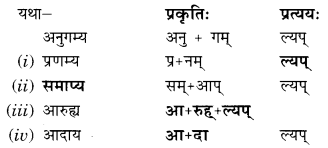 Abhyasvan Bhav Sanskrit Class 9 Solutions Chapter 8 उपसर्गाव्ययप्रत्ययाः 5