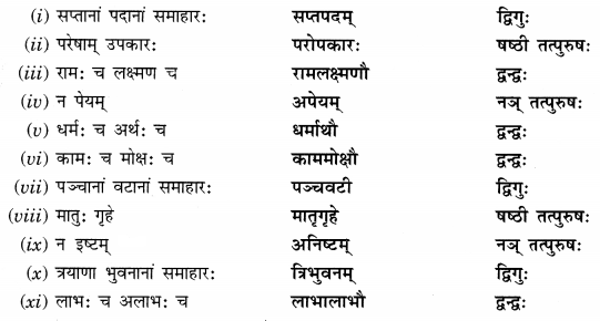 Abhyasvan Bhav Sanskrit Class 9 Solutions Chapter 9 समासाः 2.1
