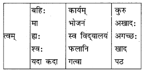 Class 10 Sanskrit Grammar Book Solutions अव्ययाः Q5.1
