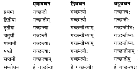 Class 10 Sanskrit Grammar Book Solutions प्रत्ययाः II Q3.1