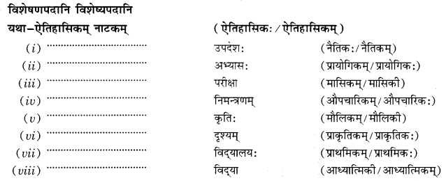 Class 10 Sanskrit Grammar Book Solutions प्रत्ययाः Q13