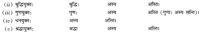 Class 10 Sanskrit Grammar Book Solutions प्रत्ययाः Q8.1