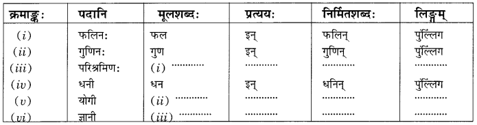 Class 10 Sanskrit Grammar Book Solutions प्रत्ययाः Q9