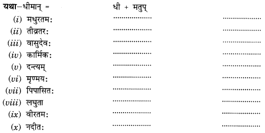 Class 10 Sanskrit Grammar Book Solutions प्रत्ययाः VI Q5