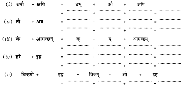 Class 10 Sanskrit Grammar Book Solutions सन्धिः Q8