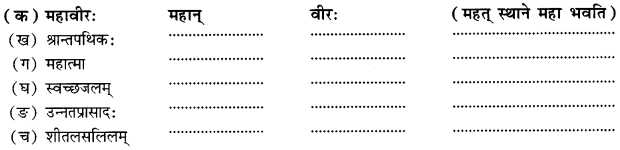 Class 10 Sanskrit Grammar Book Solutions समासाः Q11