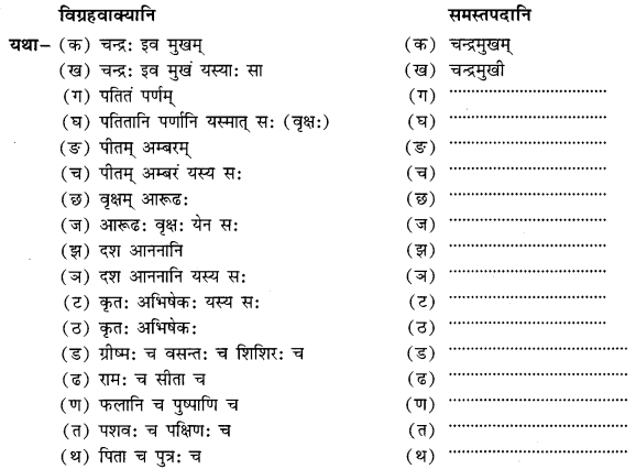 Class 10 Sanskrit Grammar Book Solutions समासाः Q14