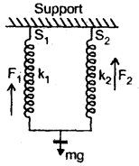 Class 11 Physics Important Questions Chapter 14 Oscillations 13