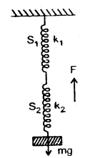 Class 11 Physics Important Questions Chapter 14 Oscillations 16