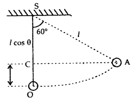 Class 11 Physics Important Questions Chapter 14 Oscillations 39