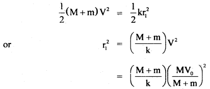 Class 11 Physics Important Questions Chapter 14 Oscillations 44