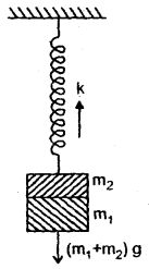 Class 11 Physics Important Questions Chapter 14 Oscillations 55