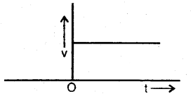 Class 11 Physics Important Questions Chapter 3 Motion in a Straight Line 13