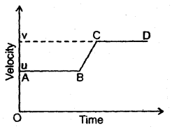 Class 11 Physics Important Questions Chapter 3 Motion in a Straight Line 17