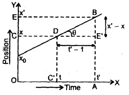 Class 11 Physics Important Questions Chapter 3 Motion in a Straight Line 24