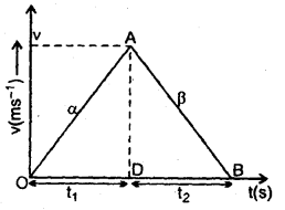 Class 11 Physics Important Questions Chapter 3 Motion in a Straight Line 38