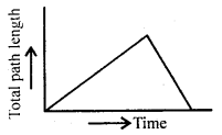 Class 11 Physics Important Questions Chapter 3 Motion in a Straight Line 4