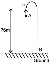 Class 11 Physics Important Questions Chapter 3 Motion in a Straight Line 72