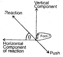 Class 11 Physics Important Questions Chapter 4 Motion in a Plane 2