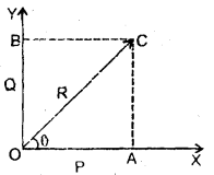 Class 11 Physics Important Questions Chapter 4 Motion in a Plane 33